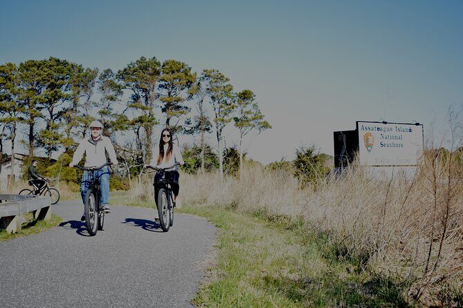Bicycle Rental from Visitor Center location at Assateague, MD - The Experience Breakdown