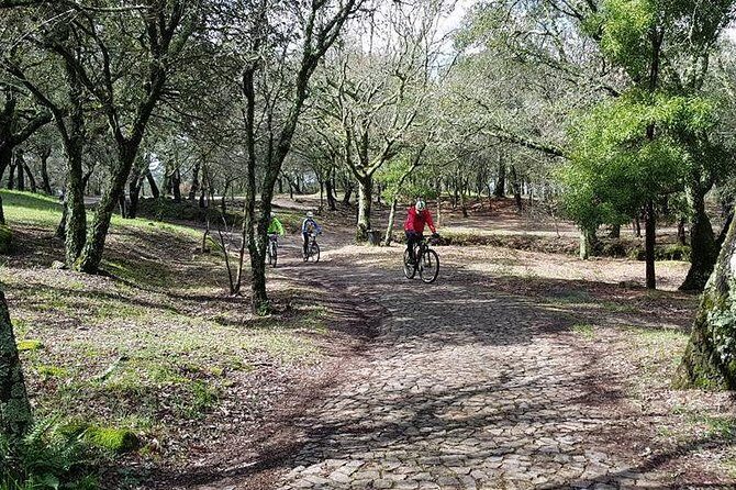 Bicycle rental in Porto for the Santiago de Compostela Road - Authentic Experiences Shared by Previous Travelers