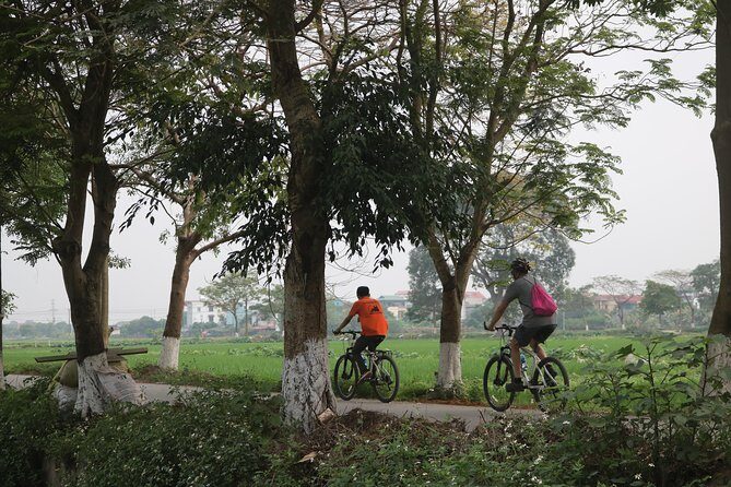 Bicycle Tour Full Day Explore Red River Delta & Rural Villages - Authentic Insights from Reviewers