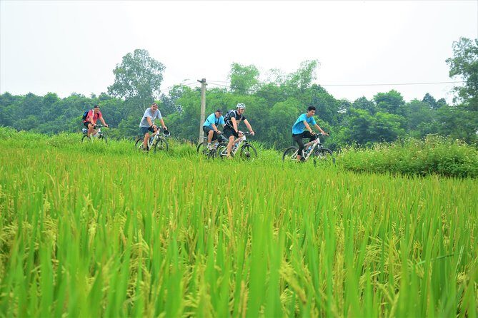 Bicycle Tours Hanoi: Full Day Bicycle Tour Hanoi Countryside - FAQ
