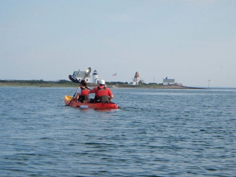 Biddeford Pool: Half Day Kayak or SUP Rental - The Experience in Detail