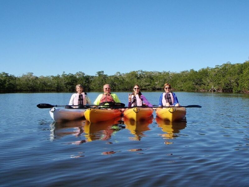 Biddeford Pool: Half Day Kayak or SUP Rental - The Sum Up