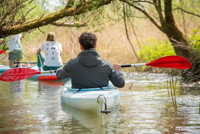 Biesbosch: Kayak Rental with Route Map and Life Jacket - The Sum Up: Is This the Right Adventure for You?