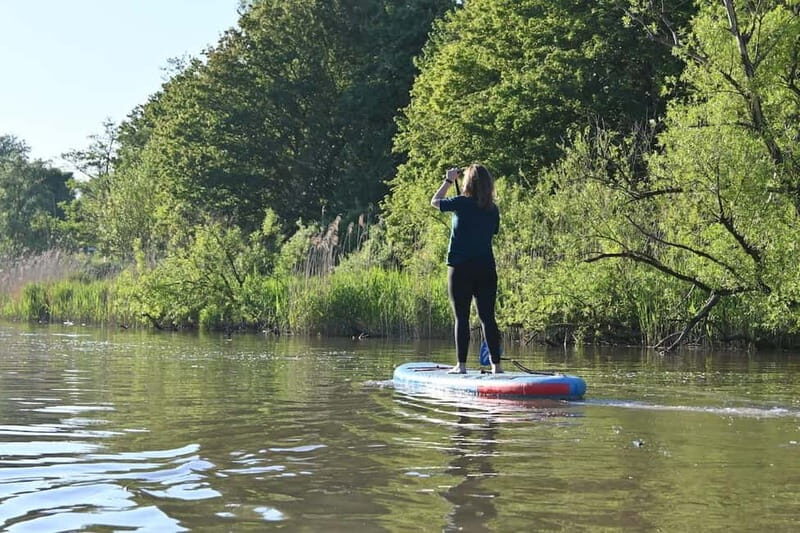 Biesbosch: SUP Board Rental - Biesbosch: SUP Board Rental — A Detailed Look at this Waterway Adventure