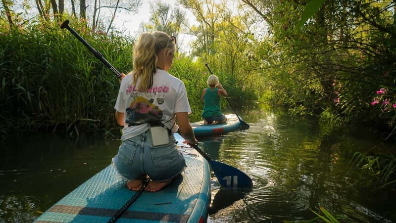 Biesbosch: SUP Board Rental - Key Points