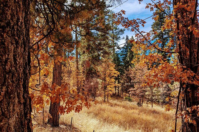 Big Bear Fall Colors Hiking Tour in Southern California - Key Points