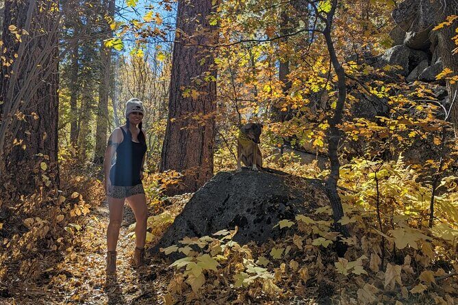 Big Bear Fall Colors Hiking Tour in Southern California - The Value of Guided Leaf-Peeping in Big Bear