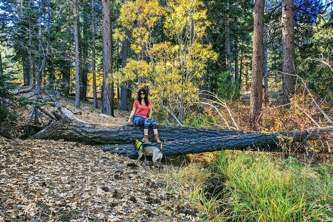 Big Bear Fall Colors Hiking Tour in Southern California - FAQ