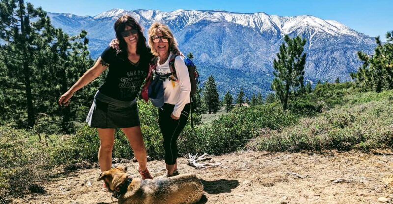Big Bear: Family-Friendly Nature Walk w Hot Chocolate - Key Points