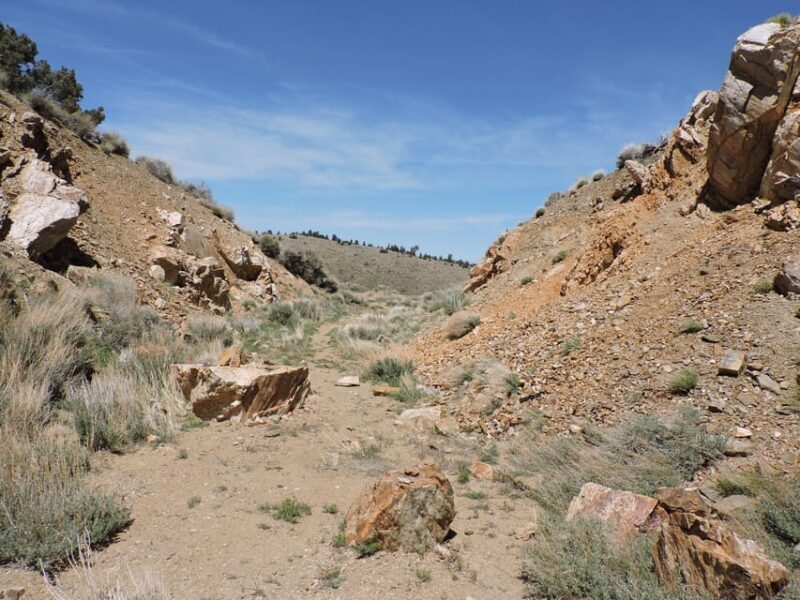 Big Bear Lake: From seafloor to mountain, the story of gold - Big Bear Lake: From Seafloor to Mountain, the Story of Gold