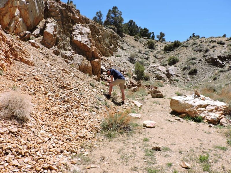 Big Bear Lake: From seafloor to mountain, the story of gold - An In-Depth Look at the Tour Experience