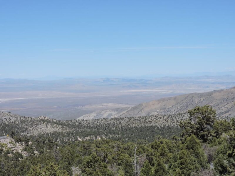 Big Bear Lake: From seafloor to mountain, the story of gold - Practical Tips for Making the Most of Your Tour
