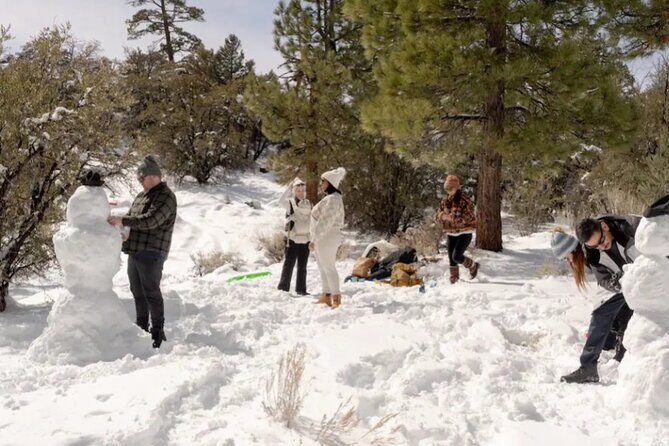 Big Bear Lake Snow Play Adventure - Who Is This Tour Best For?