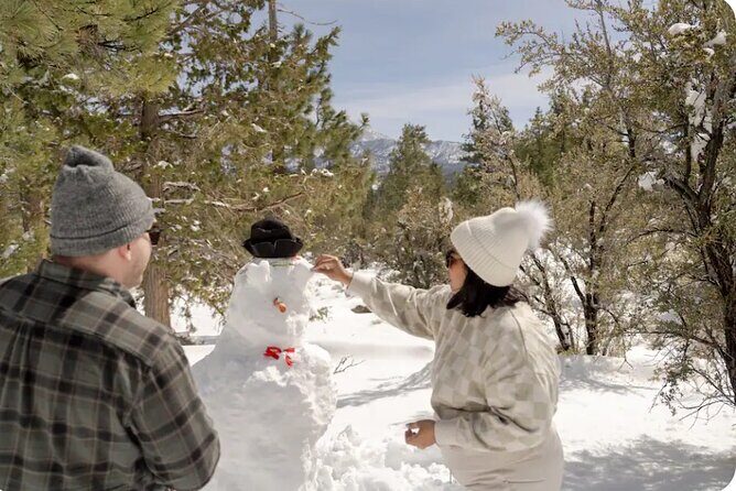 Big Bear Lake Snow Play Adventure - The Sum Up: Why You Should Consider This Tour