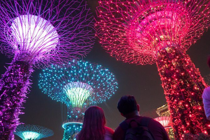 Big Bus Singapore Night Tour with Gardens by the Bay Light Show - Who Would Enjoy This Tour?