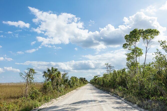 Big Cypress National Preserve Audio Tour Guide - What’s Included and What’s Not