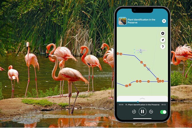 Big Cypress National Preserve Audio Tour Guide - What Could Be Better