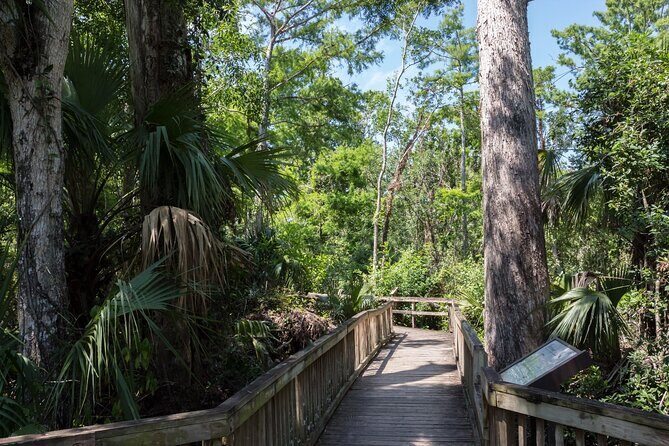 Big Cypress National Preserve Self Guided Driving Audio Tour - An In-Depth Look at the Tour Experience
