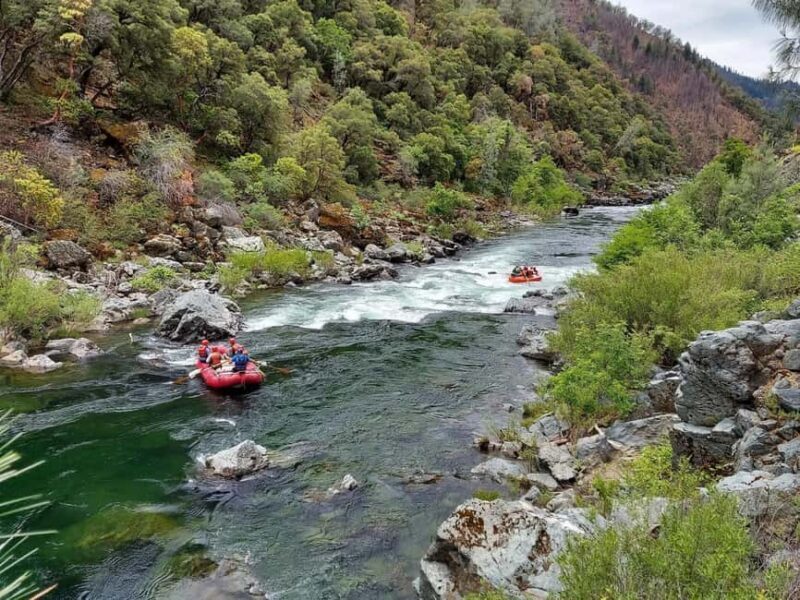 Big Flat: Upper Trinity Class II Scenic Rafting Trip - The Value of a Trip Like This