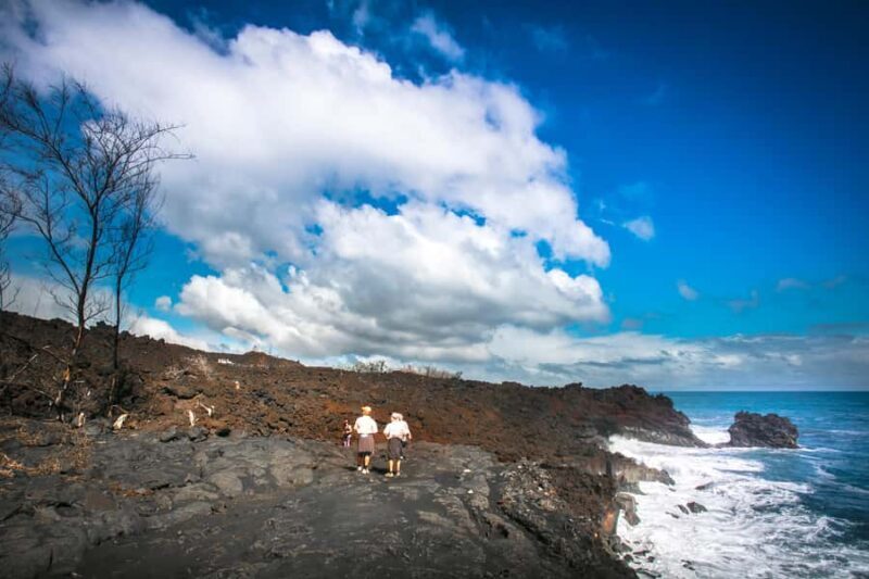 Big Hawaii: Private Guided Van Tour - Key Points