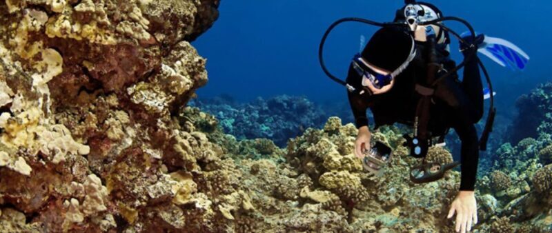 Big Island: 3 Hour Waikoloa Snorkeling & Sailing Adventure - The Experience in Detail