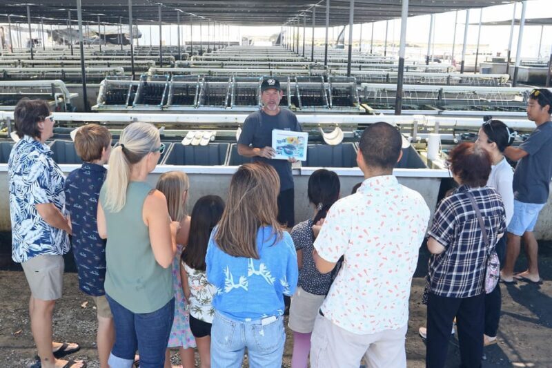 Big Island: Abalone Farm Guided Tour with Tasting - Key Points