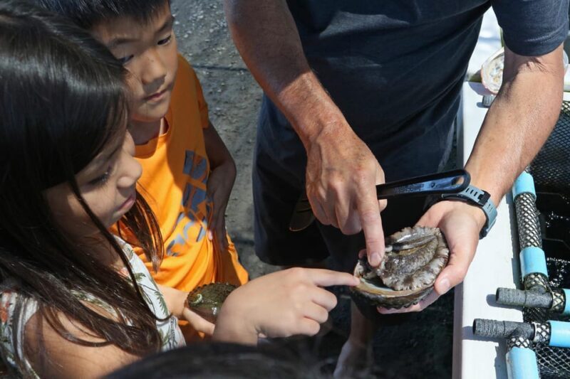 Big Island: Abalone Farm Guided Tour with Tasting - The Sum Up: Why This Tour is a Smart Choice