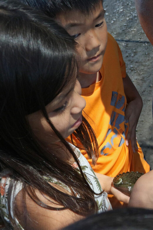 Big Island: Abalone Farm Guided Tour with Tasting - FAQs