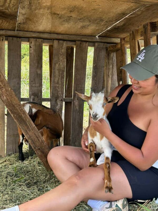 Big Island: Hand Feed & Cuddle Baby Goats - The Authentic Charm of the Farm