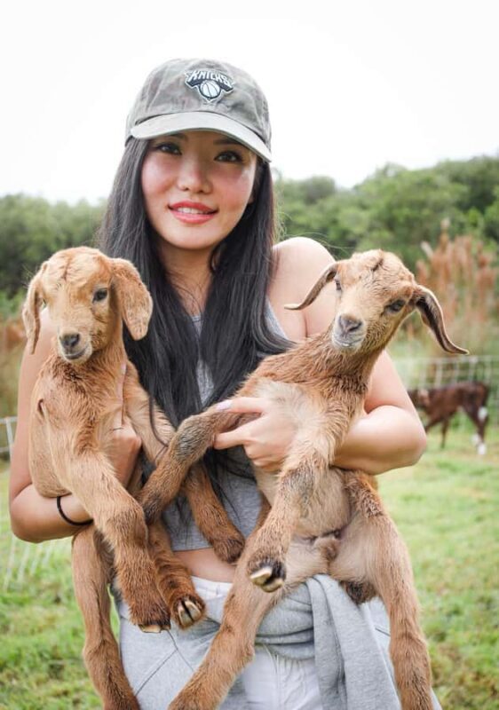 Big Island: Hand Feed & Cuddle Baby Goats - The Sum Up