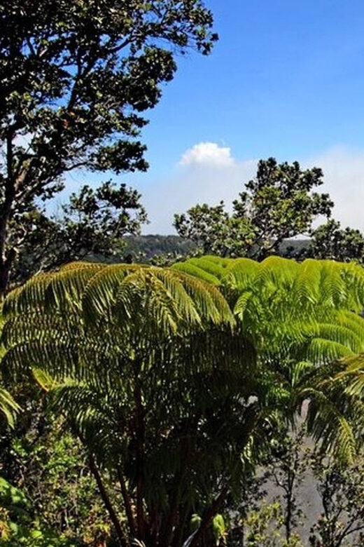 Big Island Hawaii Volcano Day tour from Oahu and Hotel PU - FAQ