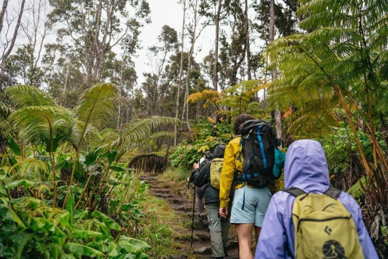 Big Island: Hawai'i Volcanoes National Park Guided Hike - The Experience in Detail