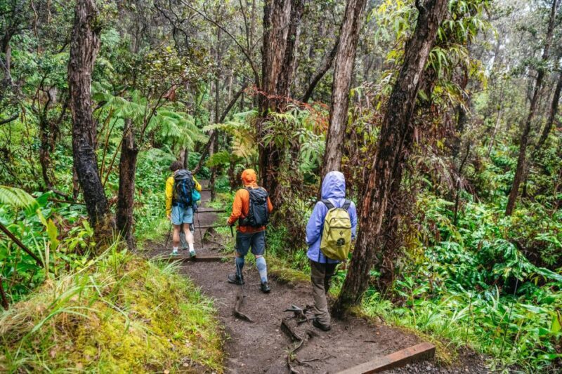 Big Island: Hawai'i Volcanoes National Park Guided Hike - Final Thoughts