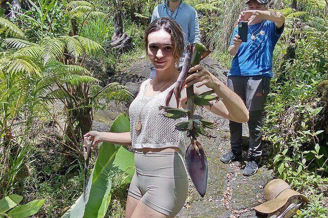 Big Island Jungle Tour with Banana and Guava Green Tea - An In-Depth Look at the Big Island Jungle Tour