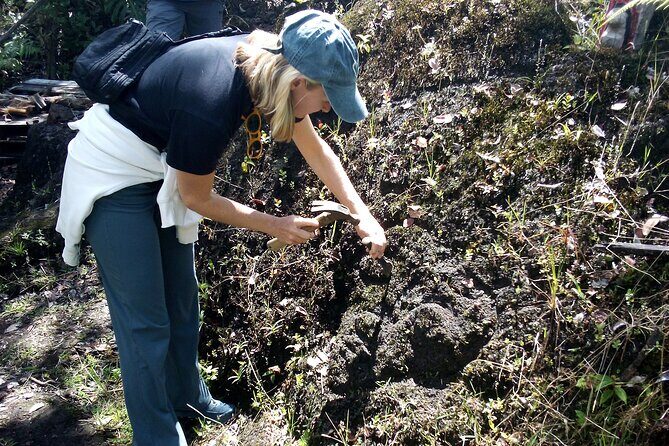 Big Island Jungle Tour with Banana and Guava Green Tea - The Sum Up: Who Will Love This Tour?