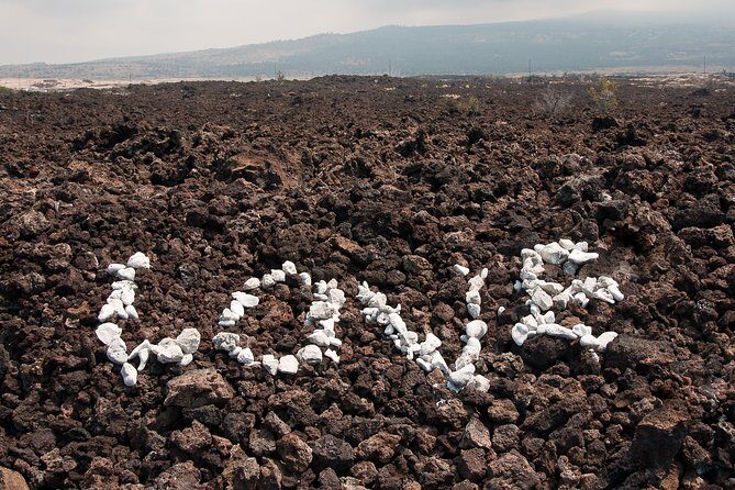 Big Island Kona Coast Self-Guided Audio Tour - Kealakekua Bay and Marine Life