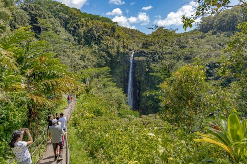 Big Island: Private Island Circle Tour with Lunch and Dinner - An In-Depth Look at the Big Island Private Tour