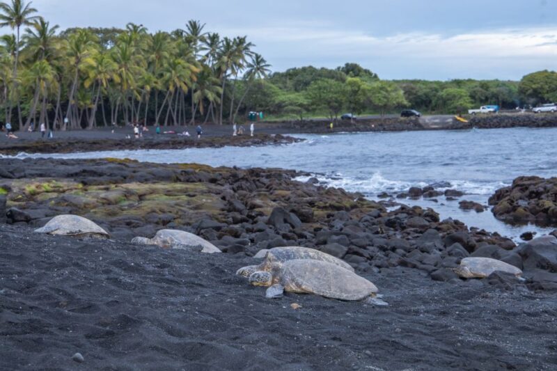 Big Island: Private Island Circle Tour with Lunch and Dinner - FAQs