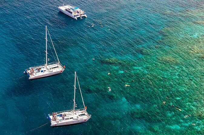 Big Island Snorkel Cruise from Waikoloa - Practical Tips for Your Snorkel Cruise