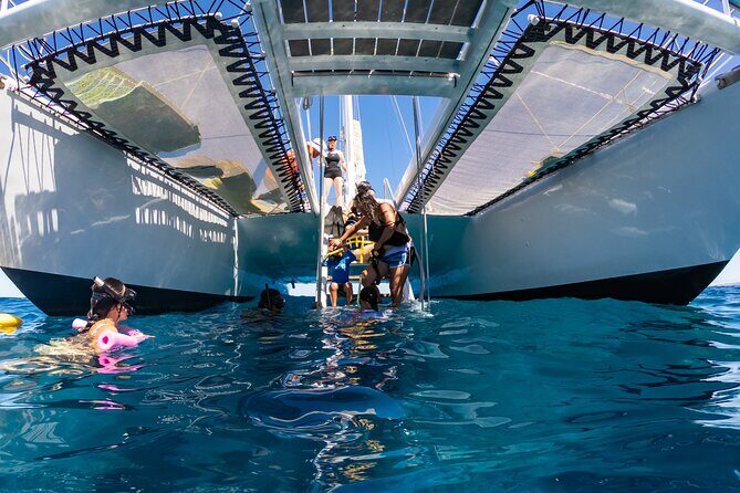 Big Island Snorkel Cruise from Waikoloa - The Sum Up: Who Should Consider This Tour?