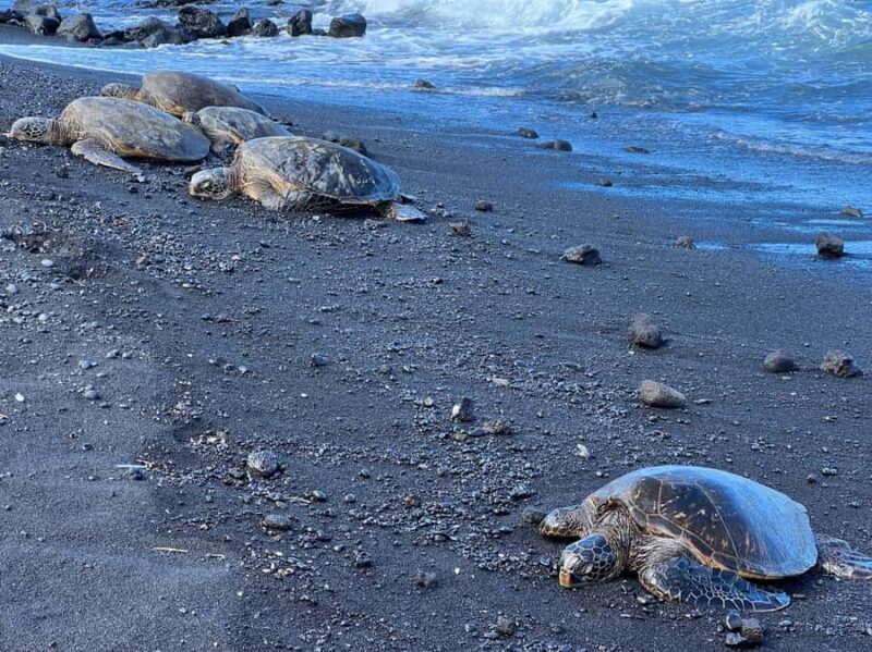 Big Island: Volcano, Waterfalls & Coffee Group Tour - Challenges and Considerations