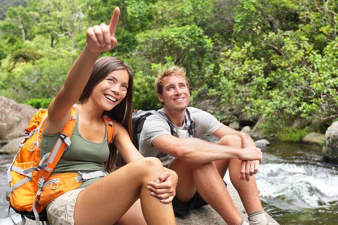 Big Island Waterfall Swim and Hike with Hilo Cruise Ship Pickup - Exploring the Adventure: What’s in Store