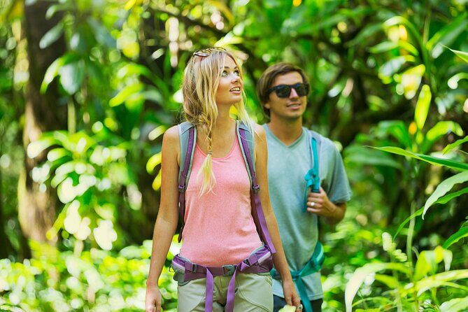 Big Island Waterfall Swim and Hike with Hilo Cruise Ship Pickup - Final Thoughts: Who Should Consider This Tour?