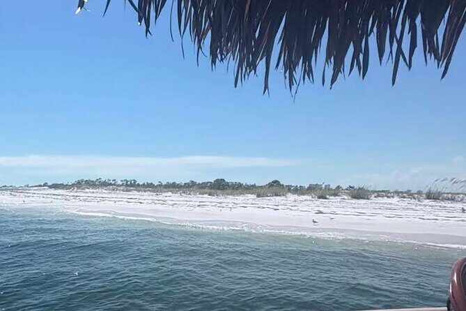 Big Kahuna Sunset Dolphin Cruise Experience - Practical Details and Tips