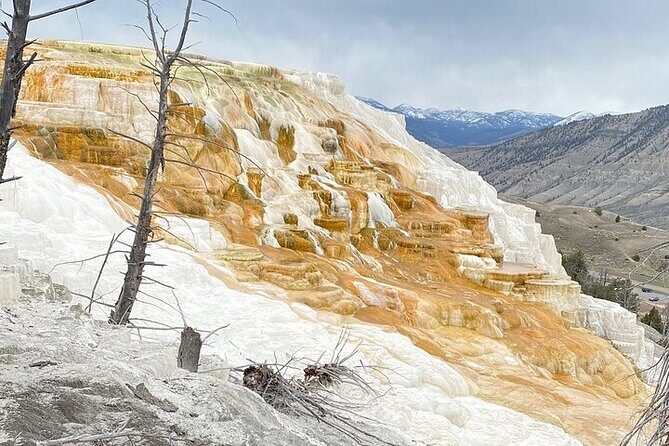 Big Sky Winter Wildlife Safari Lamar Valley Breakfast and Lunch - The Experience: What You Can Expect