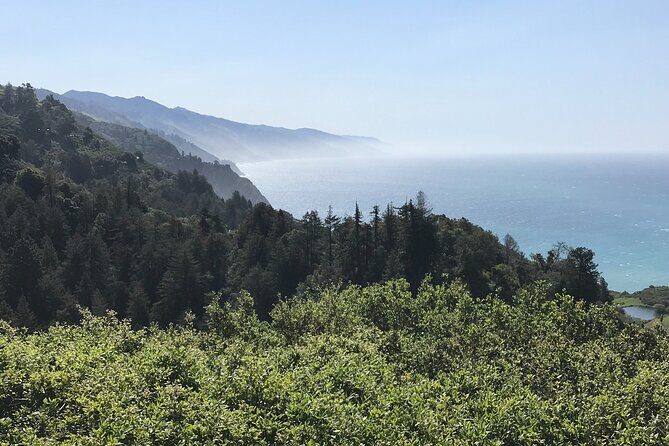 Big Sur Sightseeing Tour - Is This Tour Worth It?