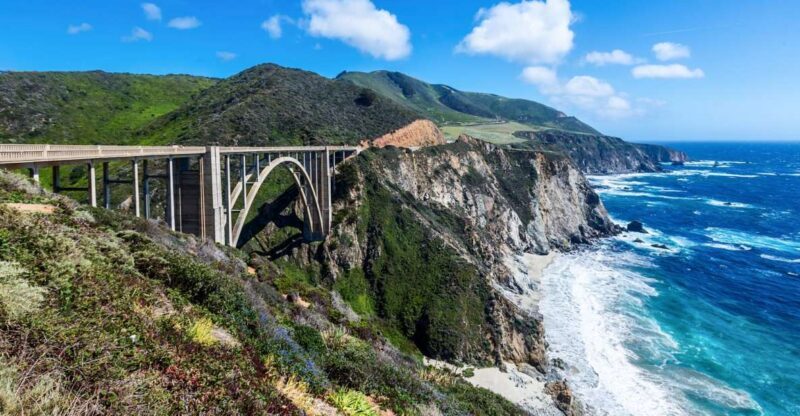 Big Sur: Sightseeing Tour with 4 to 5 Stops - Who Will Love This Tour?