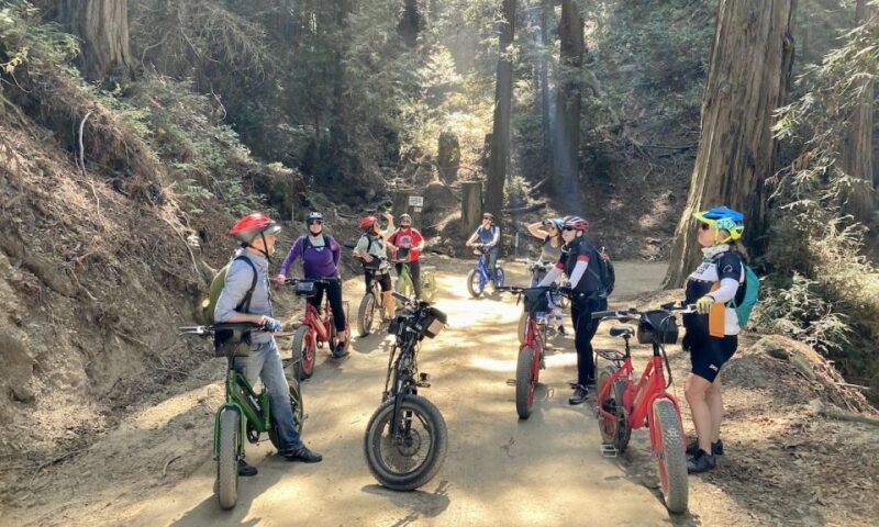 Big Sur's Old Coast Road E-Bike Tour - Exploring the Itinerary: What You Can Expect