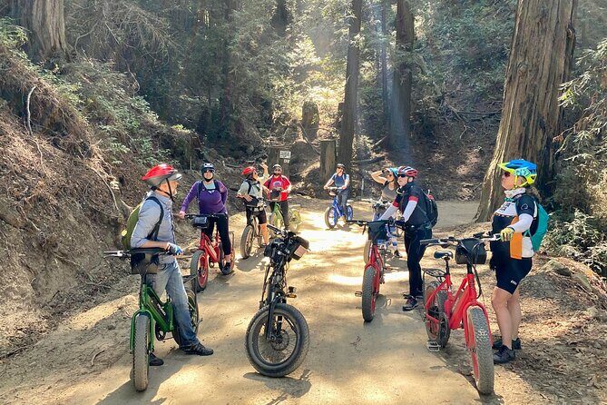 Big Sur's Old Coast Road eBike Tour - Final Words
