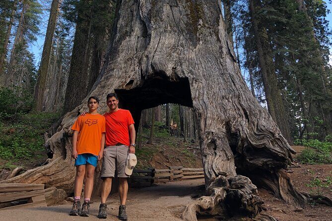 Big Trees Hike & Riverside Cookout Adventure - Final Thoughts: Is This Experience Worth It?